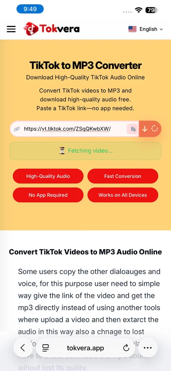 Step 4: Paste the TikTok Link