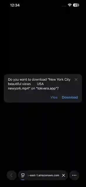 Download the Video